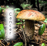 Cancer Mushroom